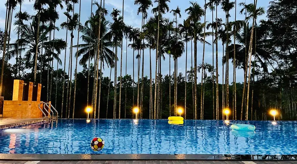 Pool at pappy's nest