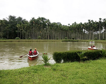 farmstay resorts in wayanad