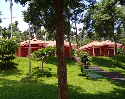 best budget resorts in wayanad