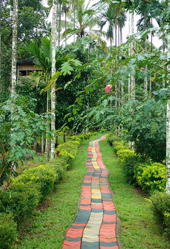 best resorts in wayanad for family