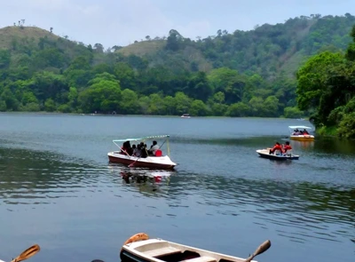 resorts in wayanad for honeymoon
