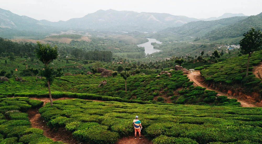 faceless person finding peace on a misty wayanad mountain