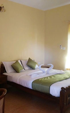 resorts in wayanad