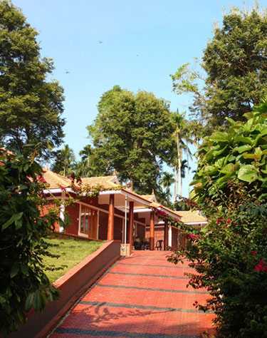 best resorts in wayanad