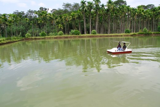 wayanad resorts