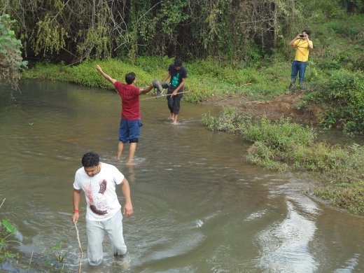 wayanad resorts