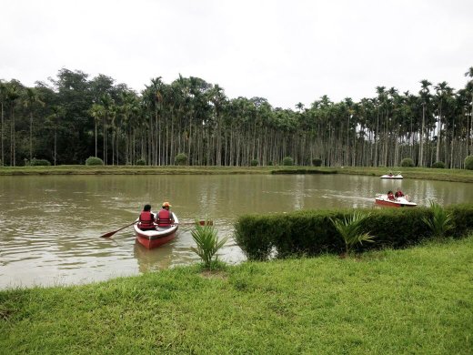 wayanad resorts
