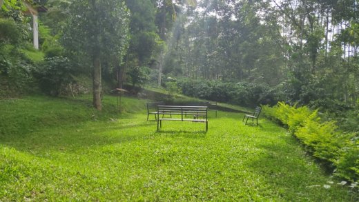 wayanad resorts
