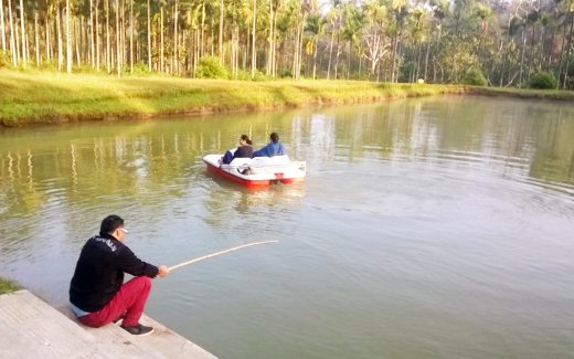 wayanad resorts