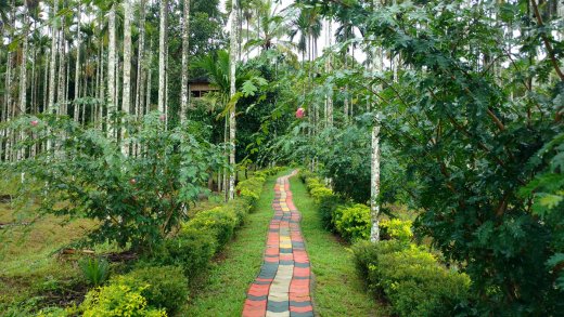 wayanad resorts