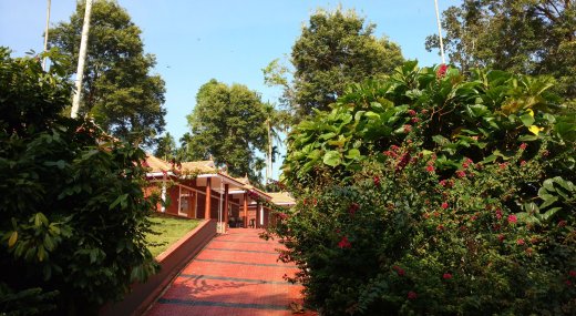 wayanad resorts