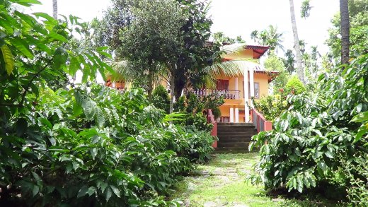 wayanad resorts
