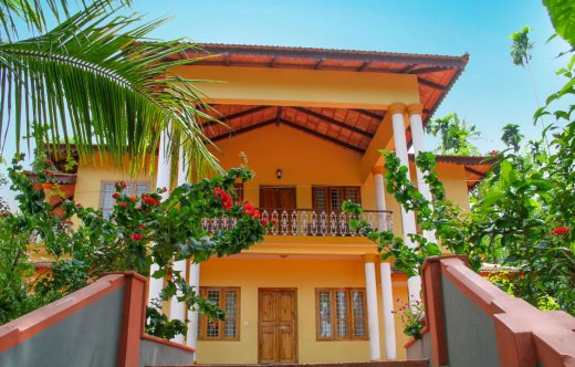 wayanad resorts