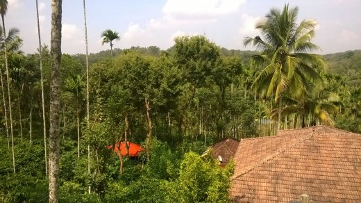 wayanad resorts