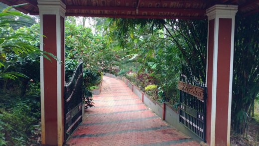 wayanad resorts