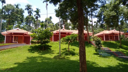 wayanad resorts