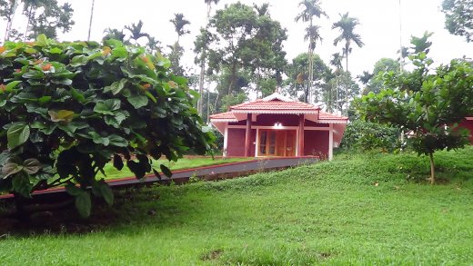 wayanad resorts